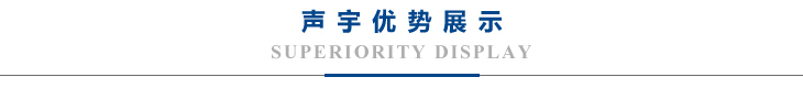 聲宇優(yōu)勢(shì)展示